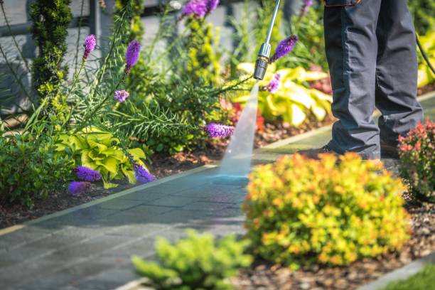 Best Winterizing Services  in Green Island, NY